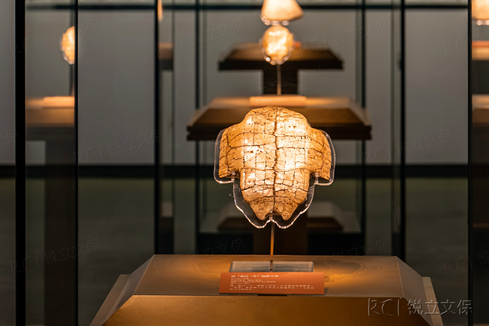 安陽殷墟博物館中的甲骨文 安陽殷墟博物館中的甲骨文