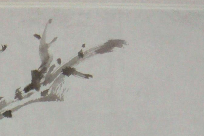 圖1-以過氧化氫漂洗斑點(diǎn)后的效果