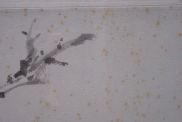 圖1-紙質(zhì)文物劣化及褐斑 圖1-紙質(zhì)文物劣化及褐斑